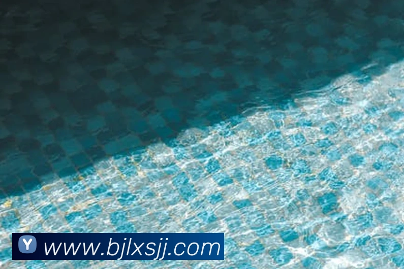 百家乐网站服务体系